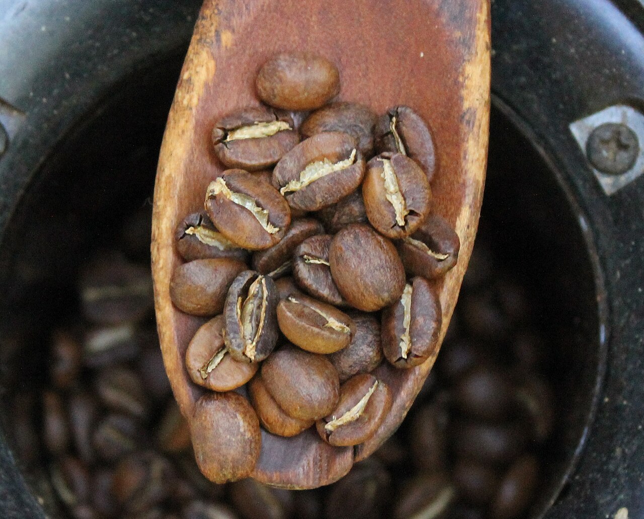 Huila Reserve